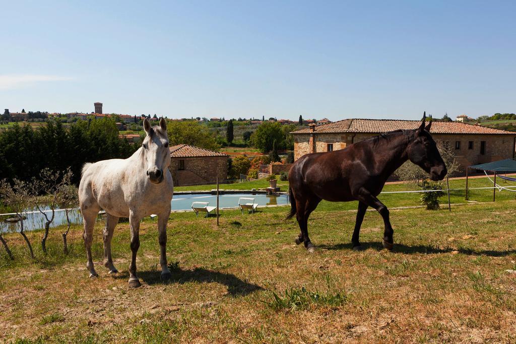 Agriturismo La Collina Pienza Dış mekan fotoğraf